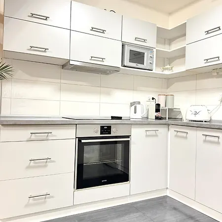 Gellert Spacious Residence Budapest Esterno foto