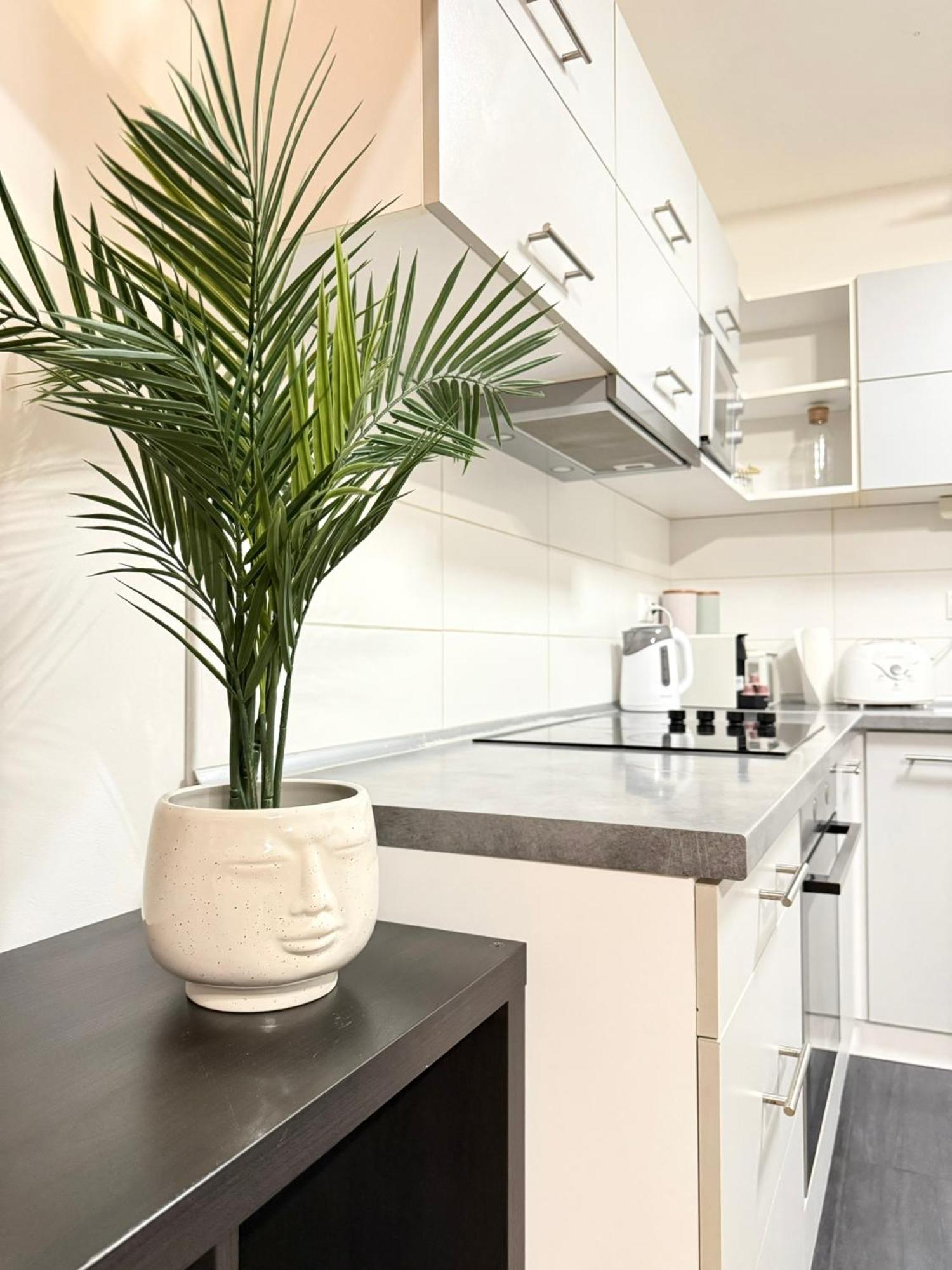 Appartamento Gellert Spacious